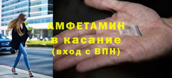 твердый Ельня
