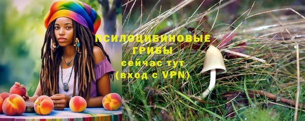 СК Саяногорск