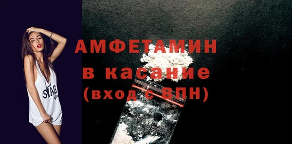 твердый Ельня