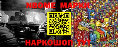 спайс Кингисепп