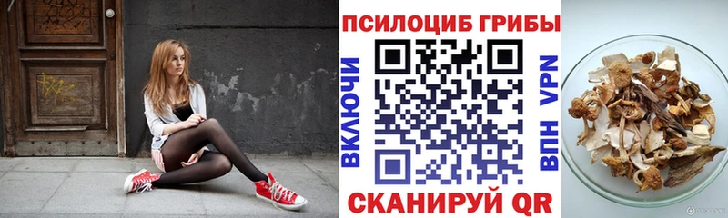 Галлюциногенные грибы Cubensis  где продают наркотики  Славянск-на-Кубани 