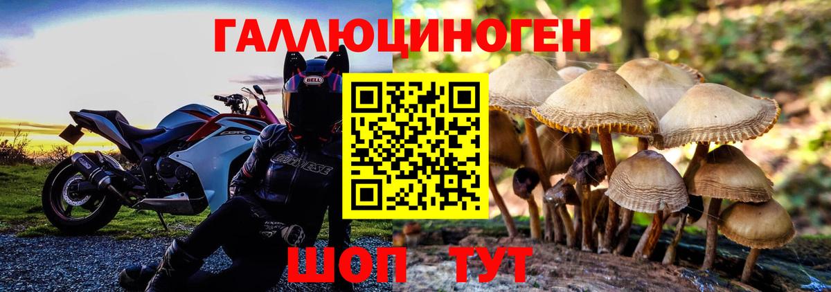 Славянск-на-Кубани  Псилоцибиновые грибы Psilocybine cubensis  Вход с VPN  Псилоцибиновые грибы Psilocybe 